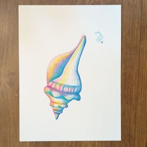 Original Artwork-Vibrant Conch Shell Art-Hand Drawn By Holly Pennell-9x12
